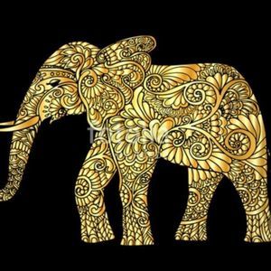 Meet your Posher, Jeanne